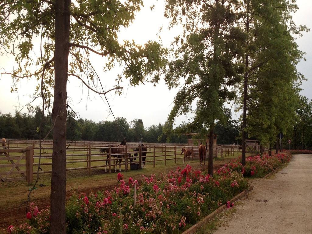 Agriturismo Il Boschetto Ornago Bagian luar foto
