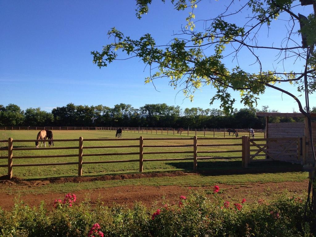 Agriturismo Il Boschetto Ornago Bagian luar foto